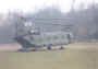 helo173.JPG (37680 bytes)
