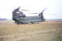 helo175.JPG (30777 bytes)