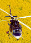 police/helo1199.JPG (87552 bytes)