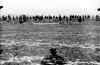 helo9463.jpg (141948 bytes)